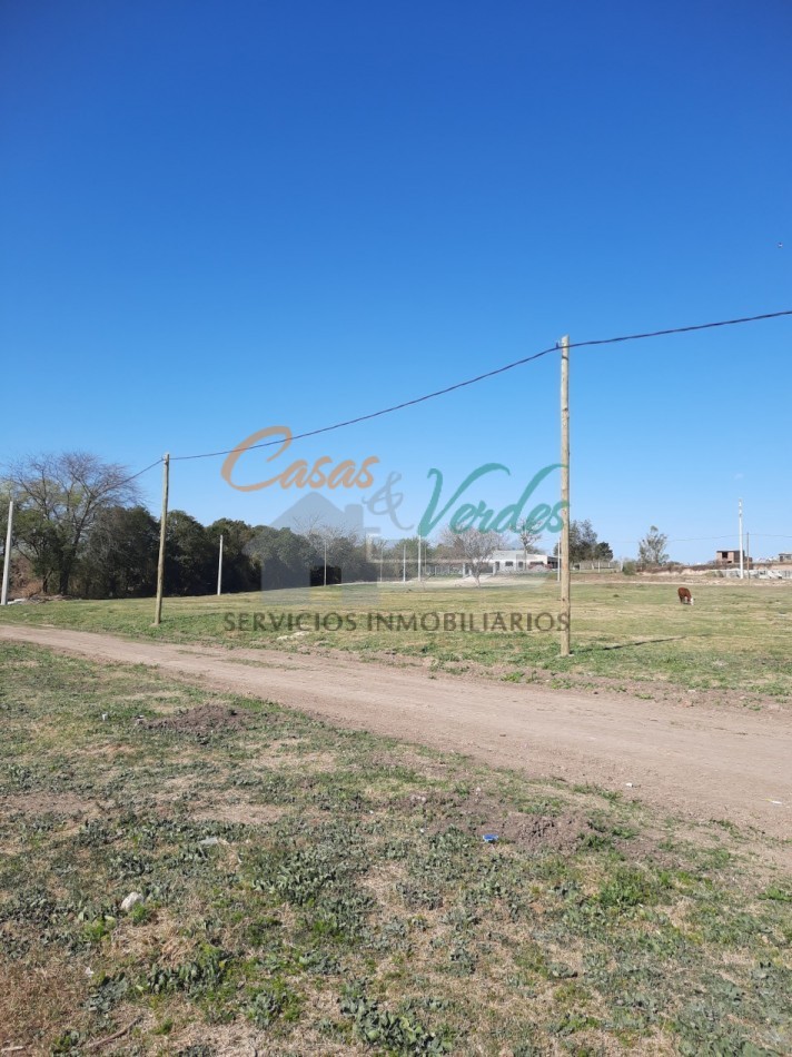 Venta Terreno nro. 13 calle J. J. Passo 