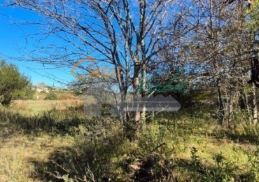 VENTA LOTE Nro. 7 espectaculares lotes con el arroyo de fondo. Zona Abadia