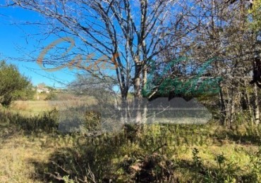 VENTA LOTE Nro. 4 espectaculares lotes con el arroyo de fondo. Zona Abadia