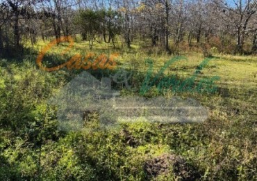 VENTA LOTE Nro. 6 espectaculares lotes con el arroyo de fondo. Zona Abadia