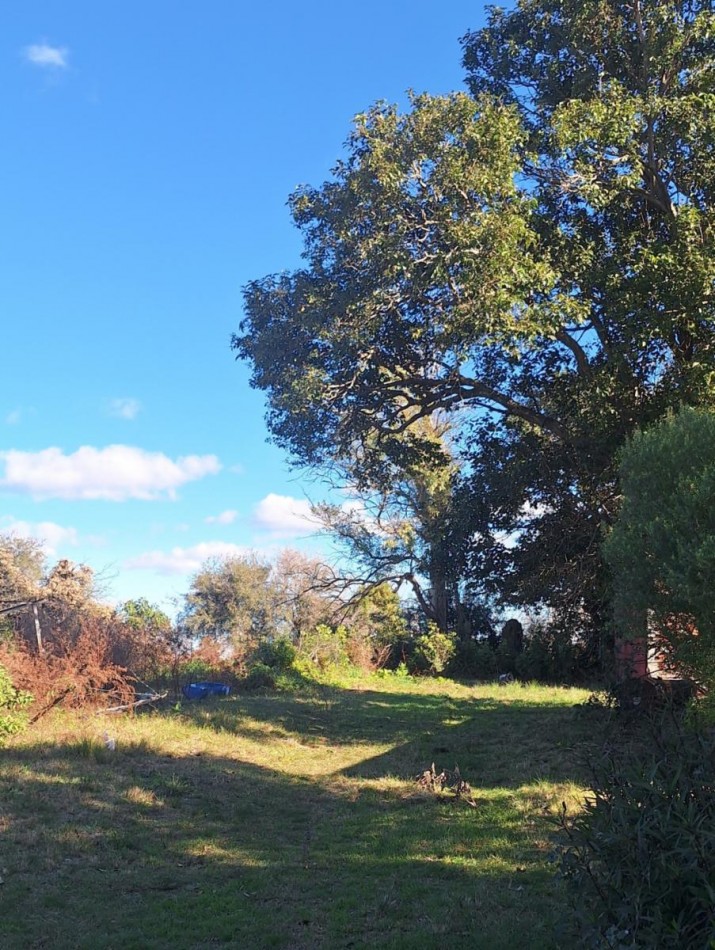 Venta, 7000m2 en Paraje La Tacuara sobre Ruta, con dos casas a reciclar