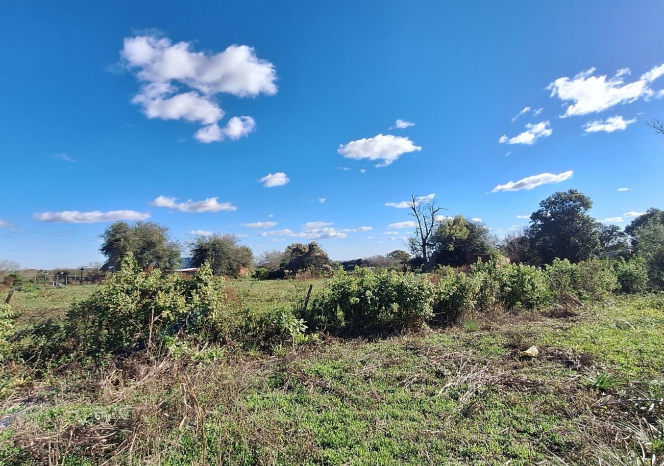 Venta, 7000m2 en Paraje La Tacuara sobre Ruta, con dos casas a reciclar