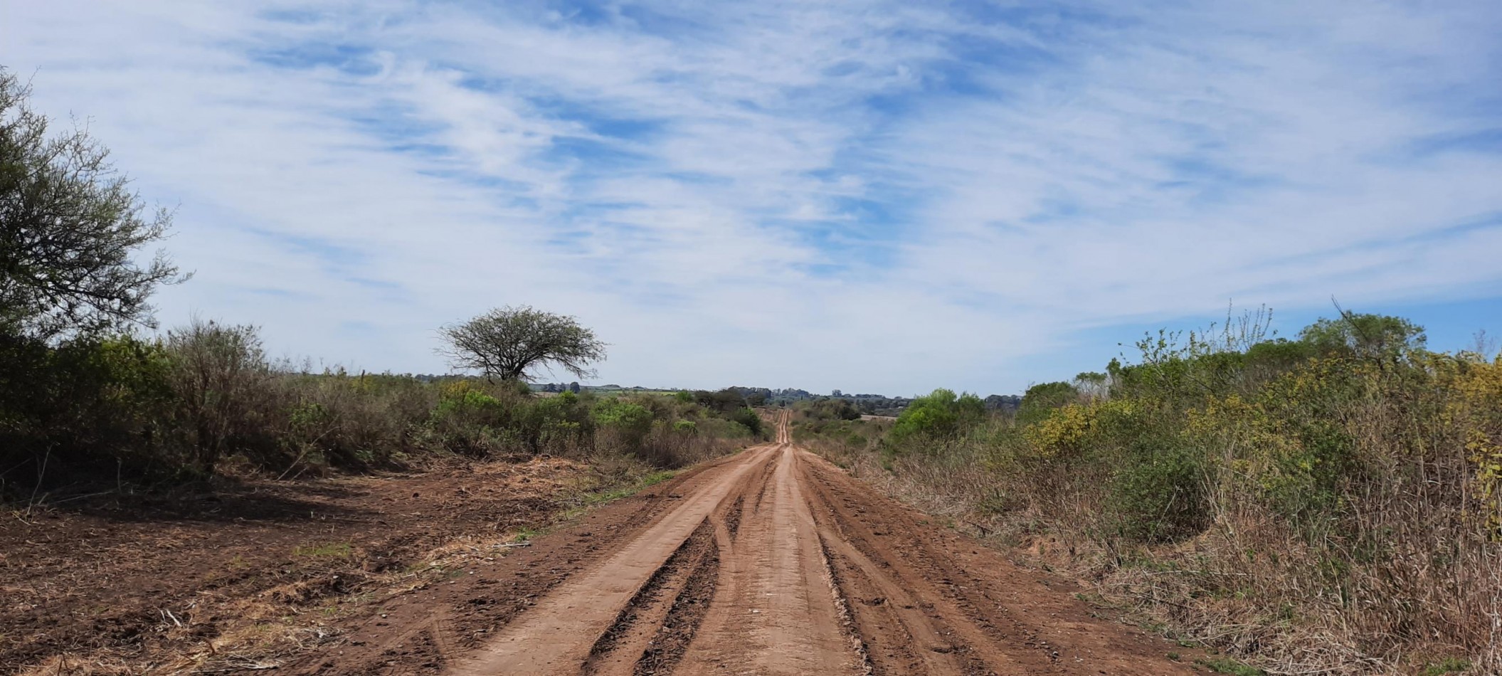 CAMPO 7 has, en Antelo, sobra camino principal, ideal proyecto agropecuario, ganadero, haras, huertas, etc. SIN MEJORAS.-