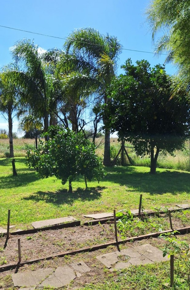 9.75has Campo SOBRE RUTA con CASA, hermoso parque con arboleda, campo apto agricola-ganadero, Rincon de Nogoya