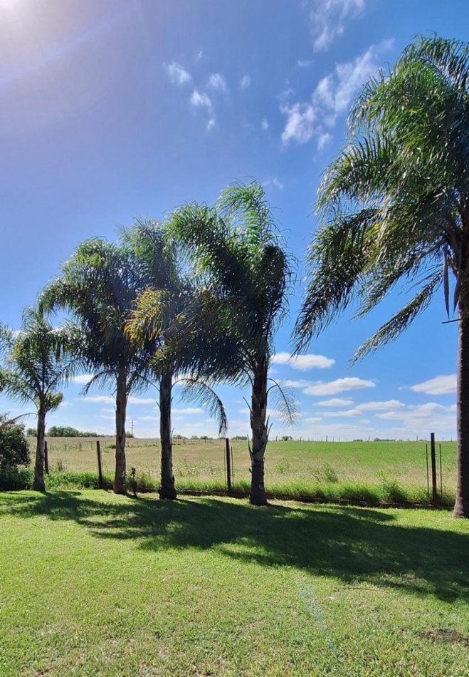 9.75has Campo SOBRE RUTA con CASA, hermoso parque con arboleda, campo apto agricola-ganadero, Rincon de Nogoya