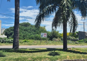 lote de 1086m2 sobre Bcar Moreno entre Gdor Sola e Irigoyen